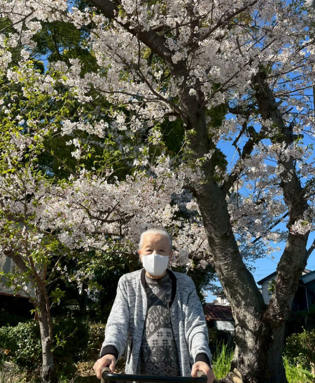 春のお花見行事を行いました。